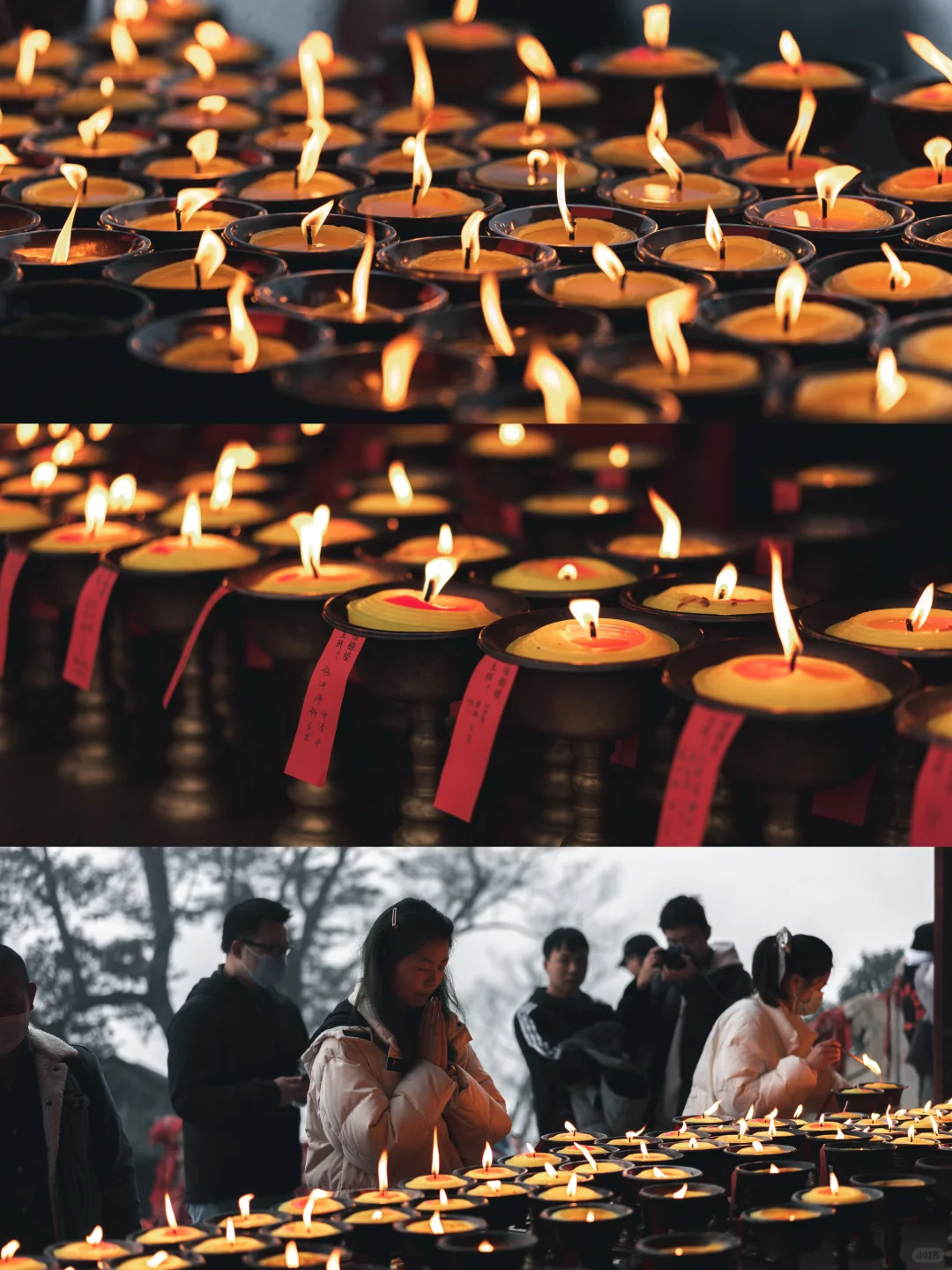 📷拜水都江堰，问道青城山