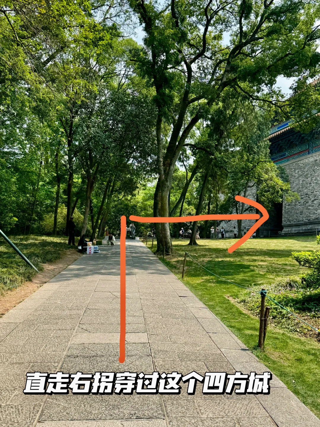 南京梧桐大道网红桥打卡路线指南（步行版）