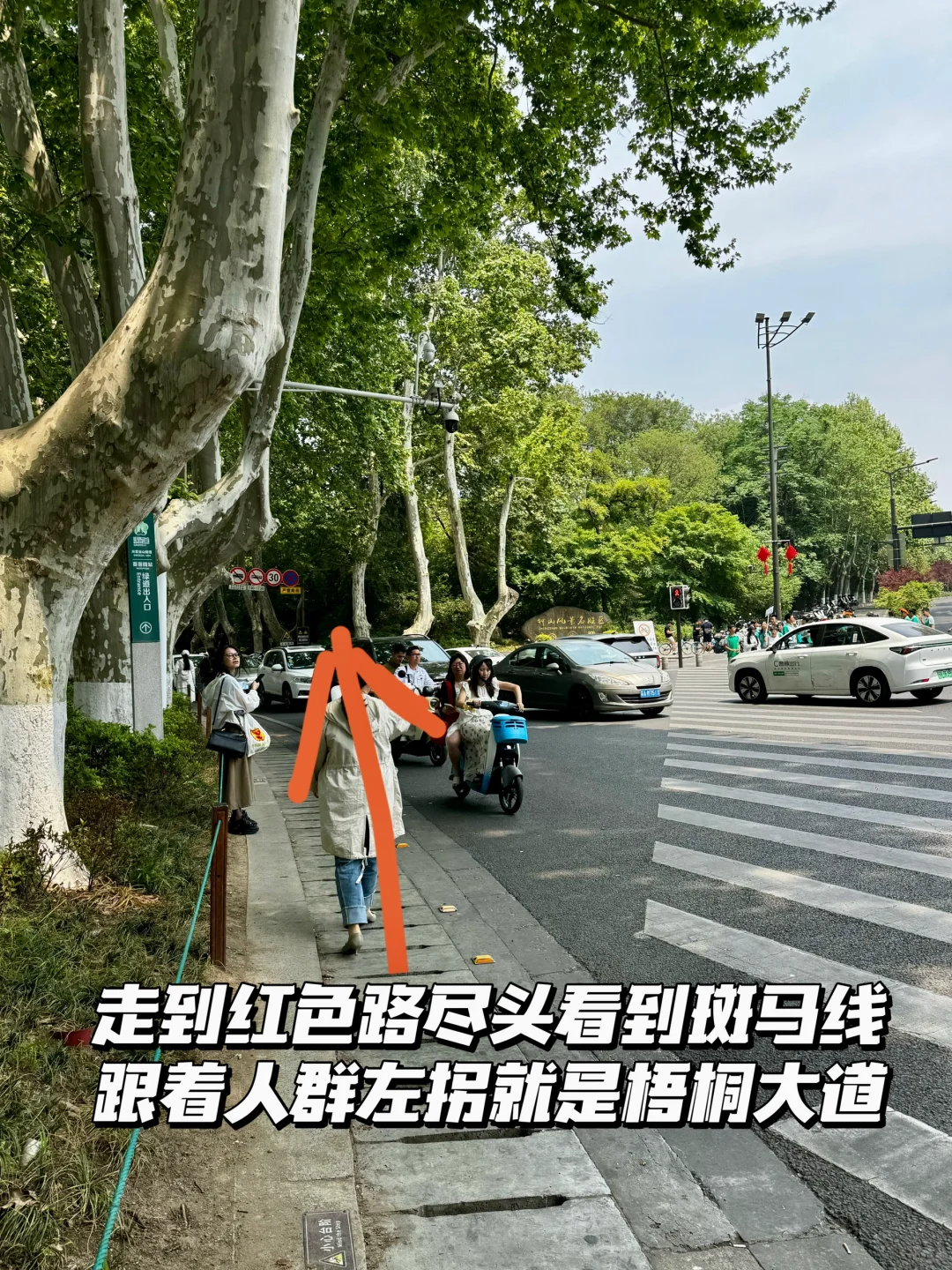 南京梧桐大道网红桥打卡路线指南（步行版）