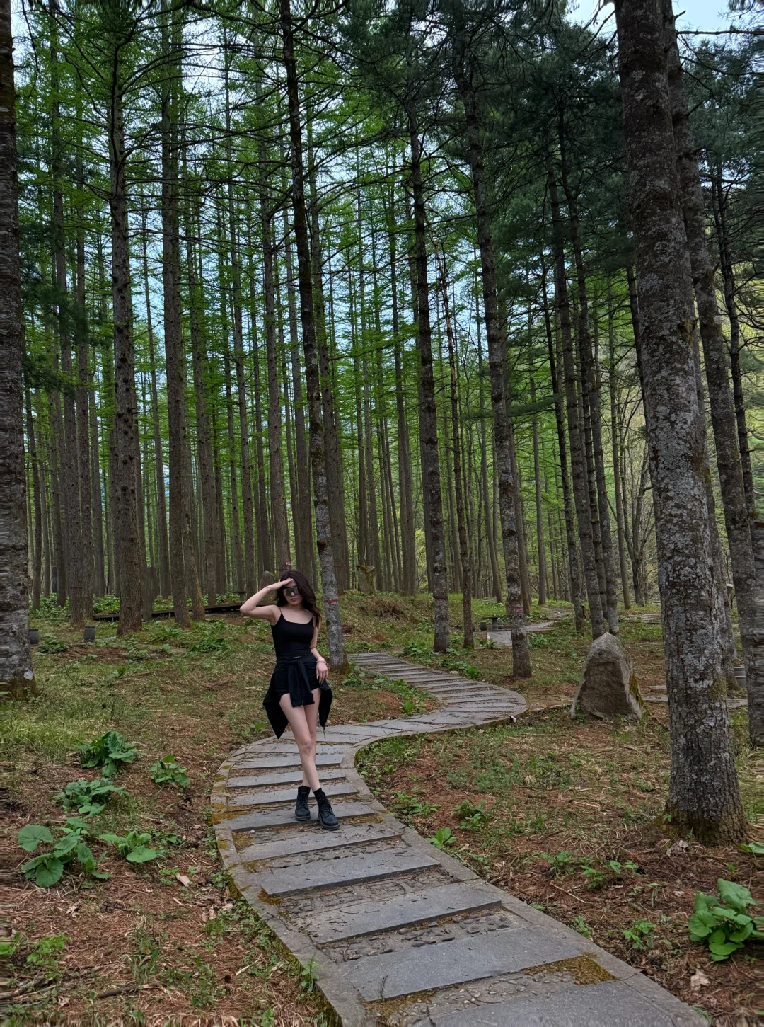 没去百丈漈，在河南洛阳