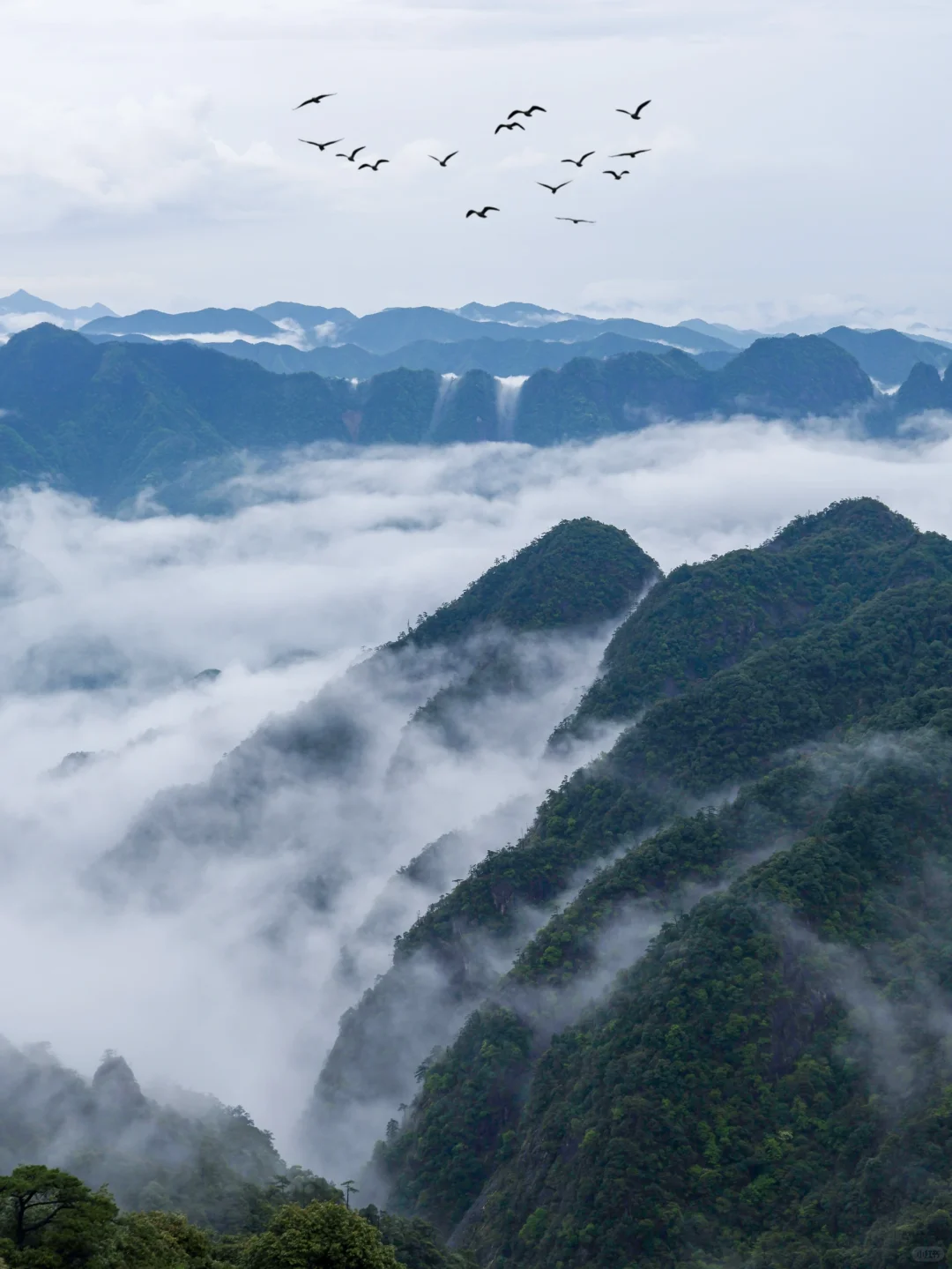live野心友好❗️我在三清山拍到《千里江山图》