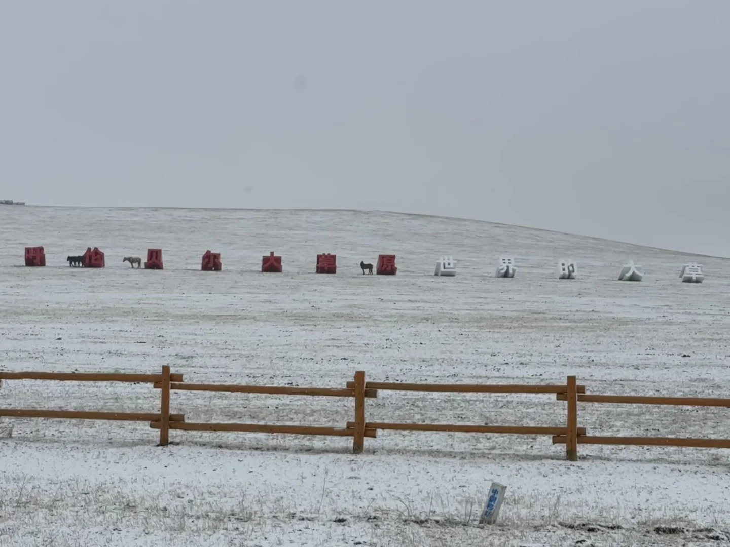 五一假期🐶都不去的呼伦贝尔,我去!🙋♂️