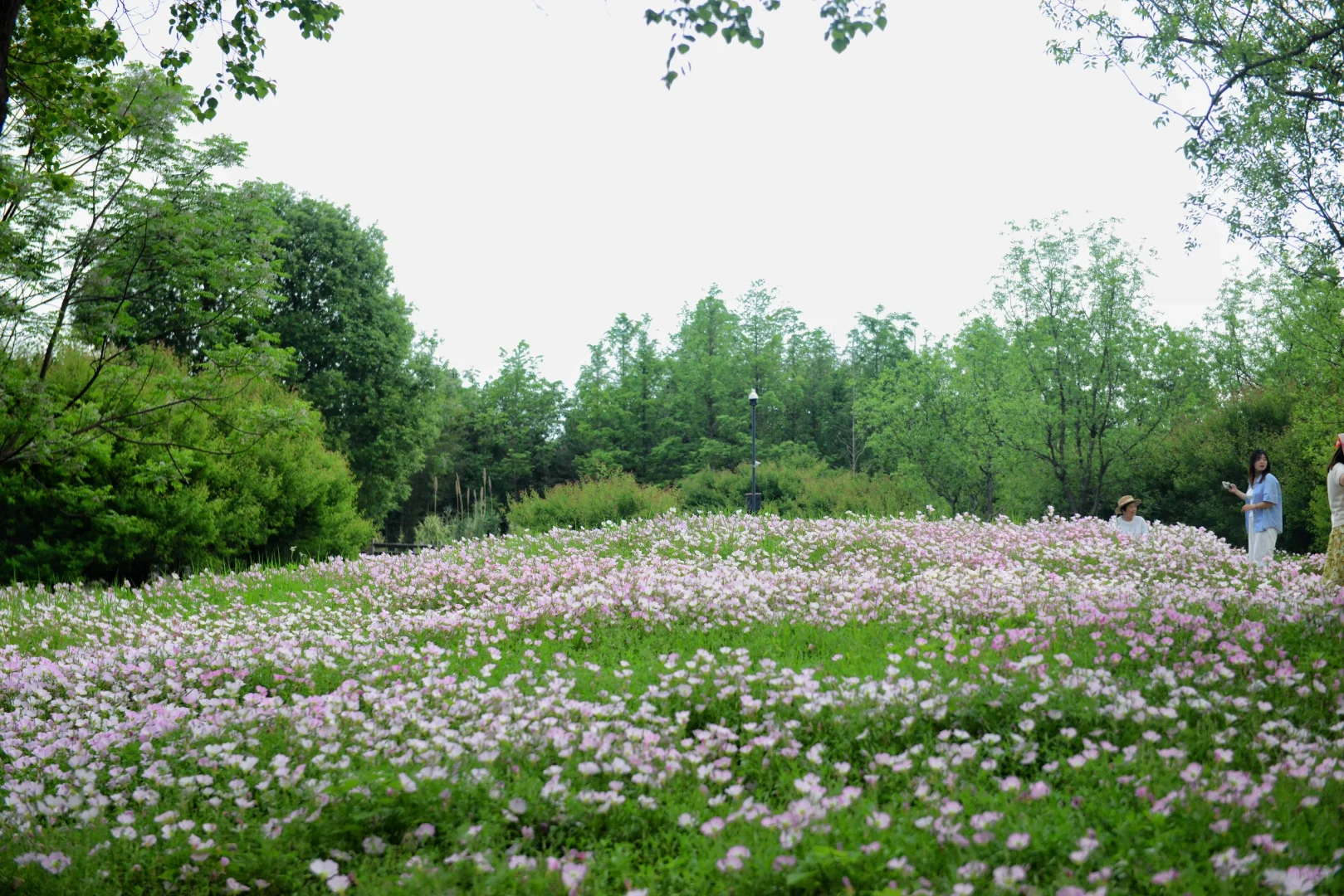 误入“宫崎骏漫画”世界