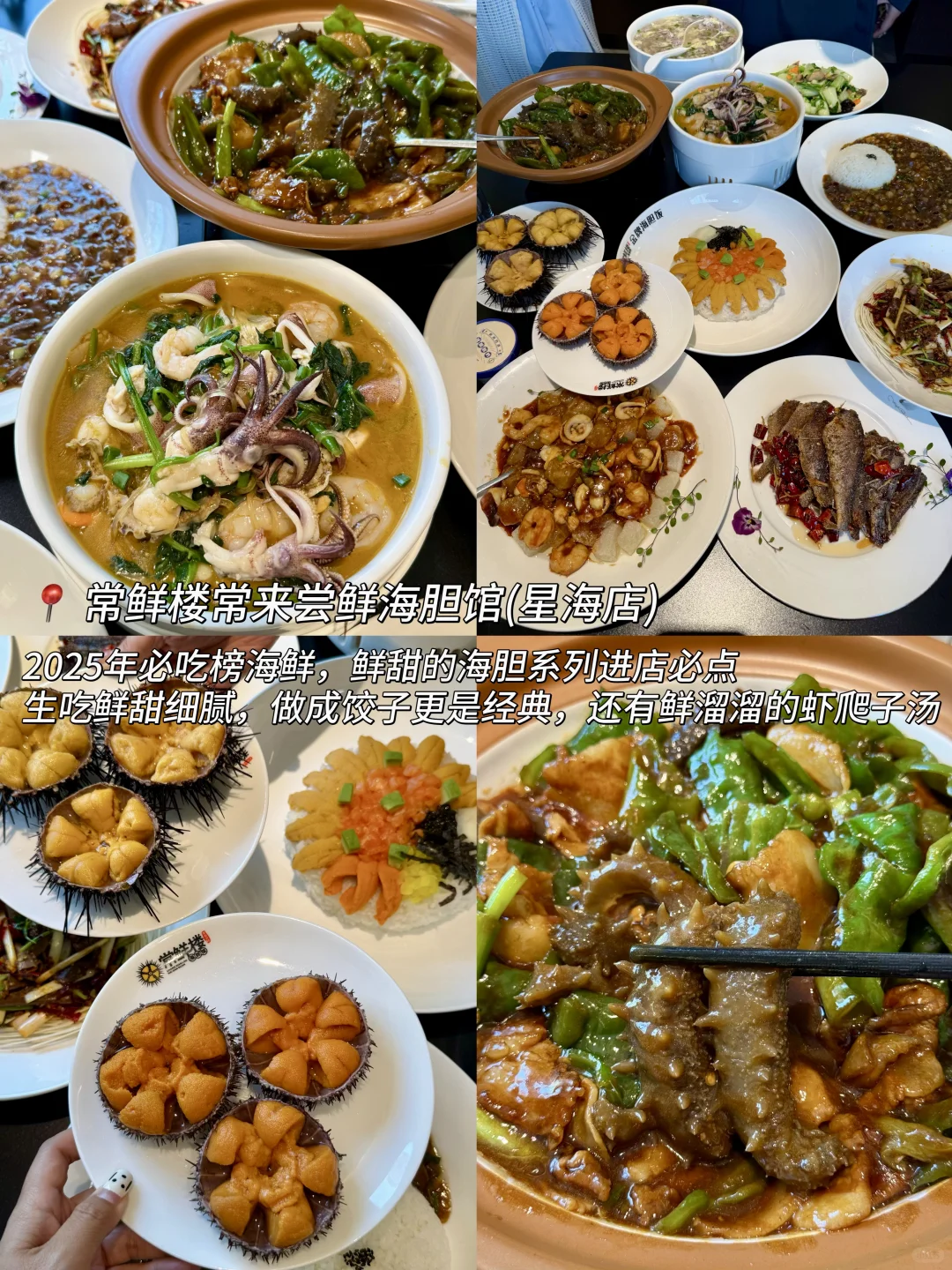 大连3日游攻略！环海路线（P人照抄版）