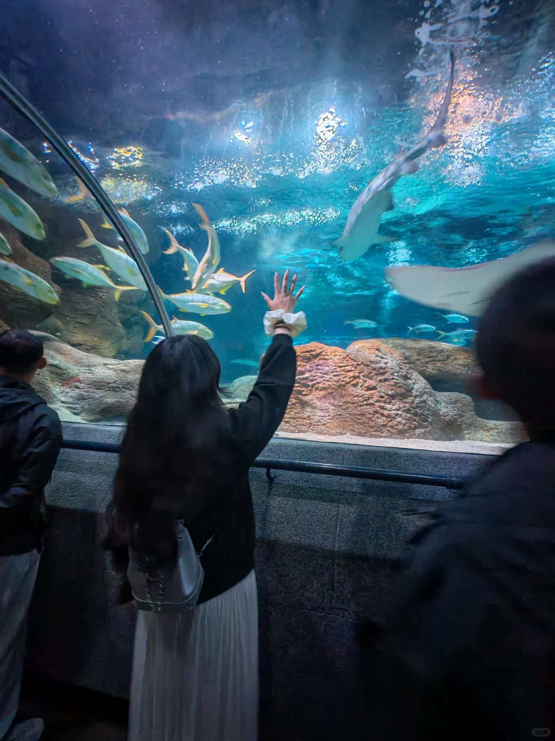 06女大大连旅游（超详细攻略版）