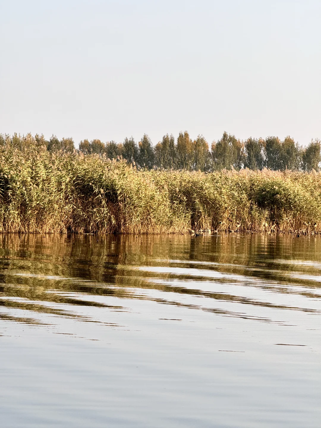 白洋淀真的别浪费雄安大批商务流动人口