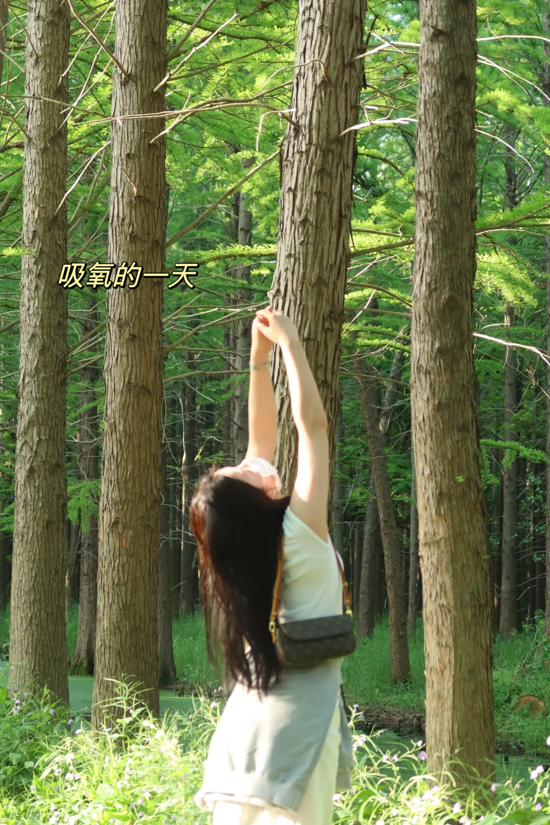 五一假期 | 淮安必打卡景点