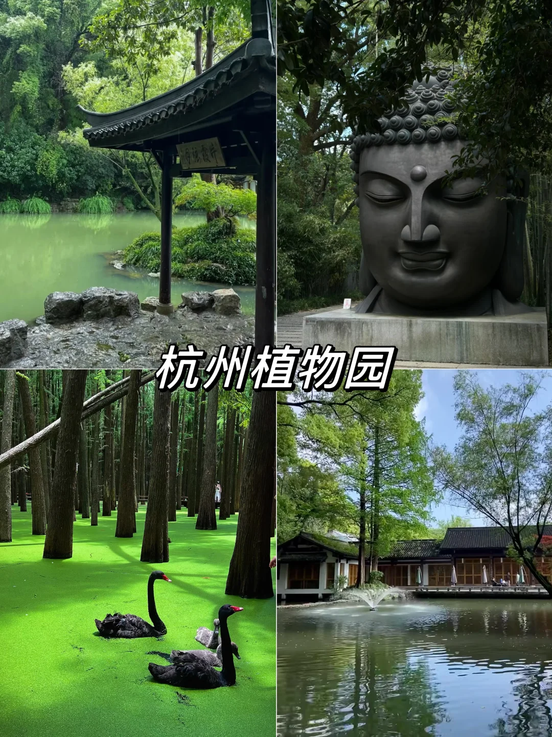 没开玩笑‼️来杭州旅游一定要看下这篇攻略