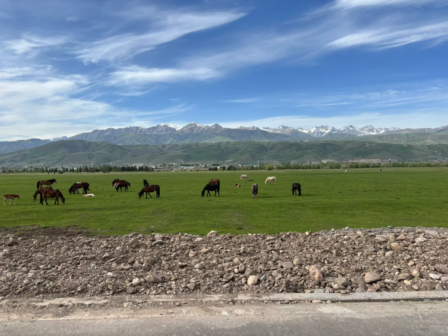 知道大家为什么避雷那拉提了（不是避雷帖）