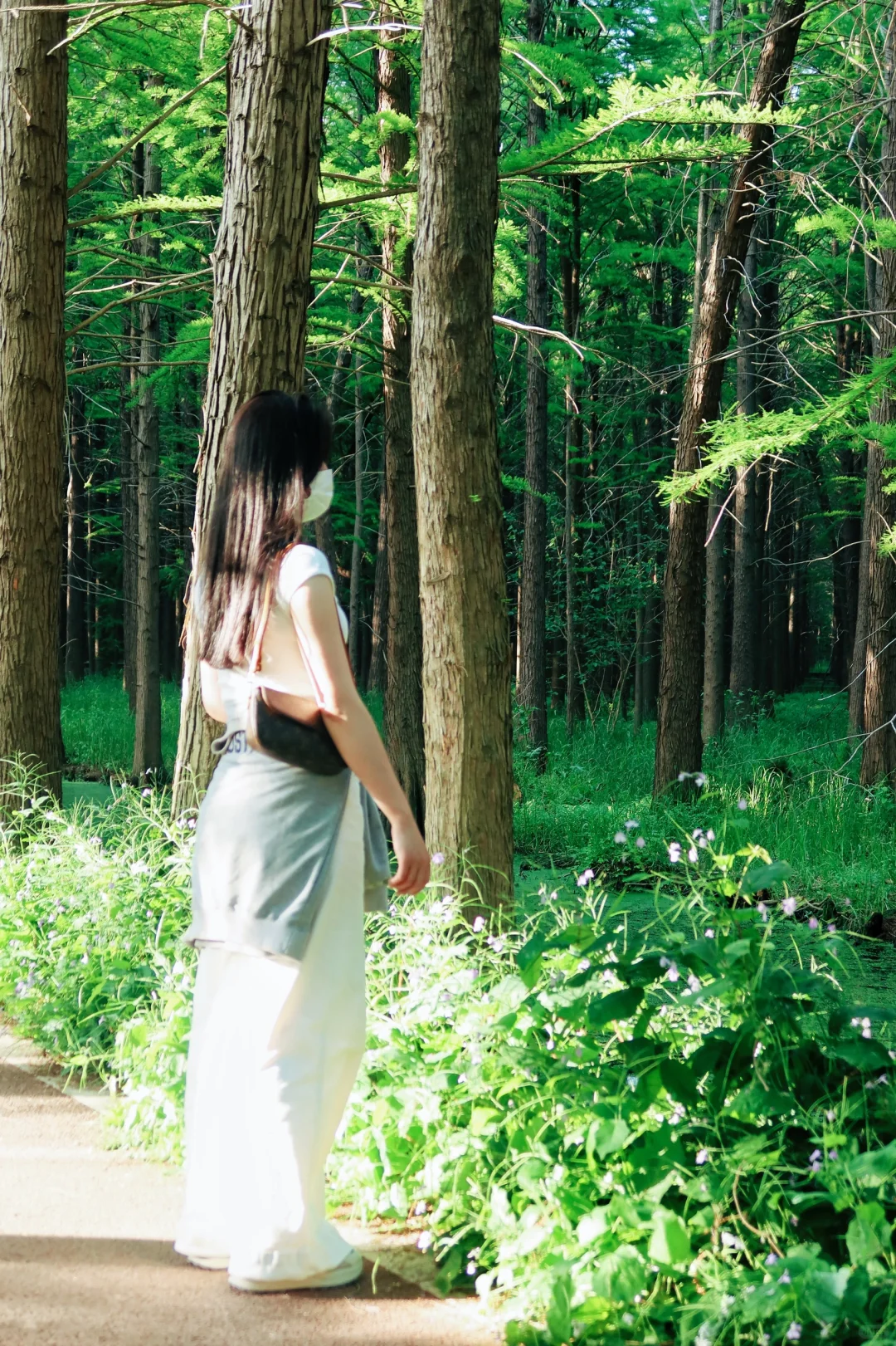 五一假期 | 淮安必打卡景点