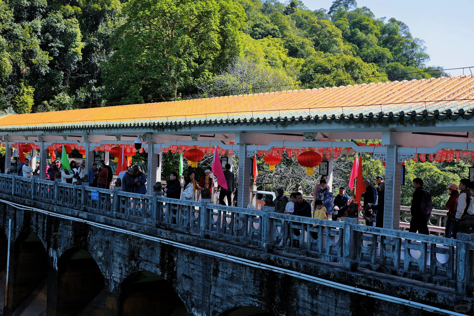 肇庆鼎湖山真的美到我心巴上了（省钱攻略！）