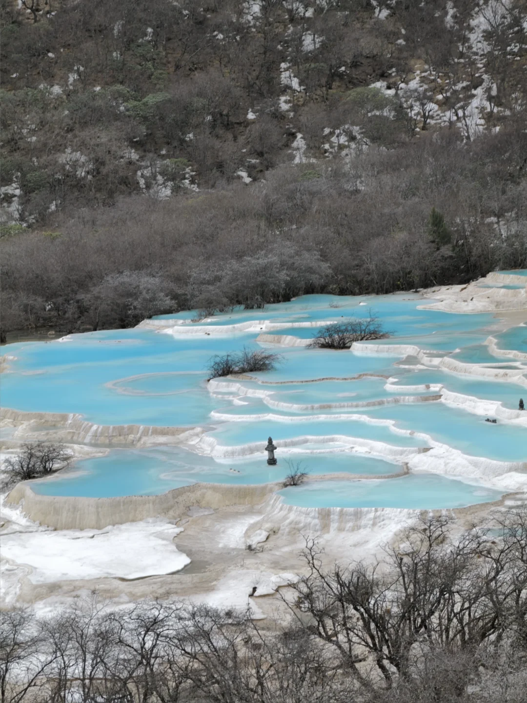 🍃黄龙·九寨 五彩池很美，但下次不来了
