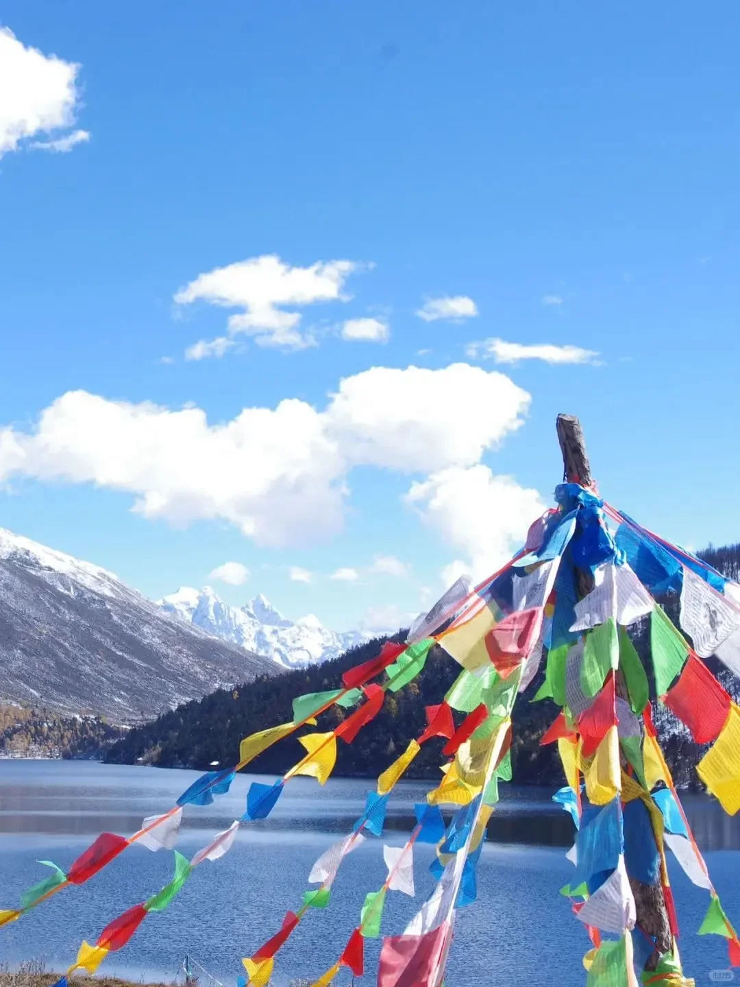 在川西，带你看《康定情歌》里的浪漫✨✨