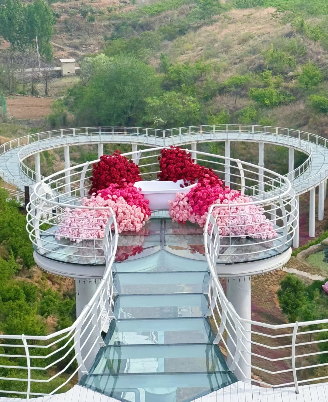 这颜值绝了,谁拍谁好看!📸📷