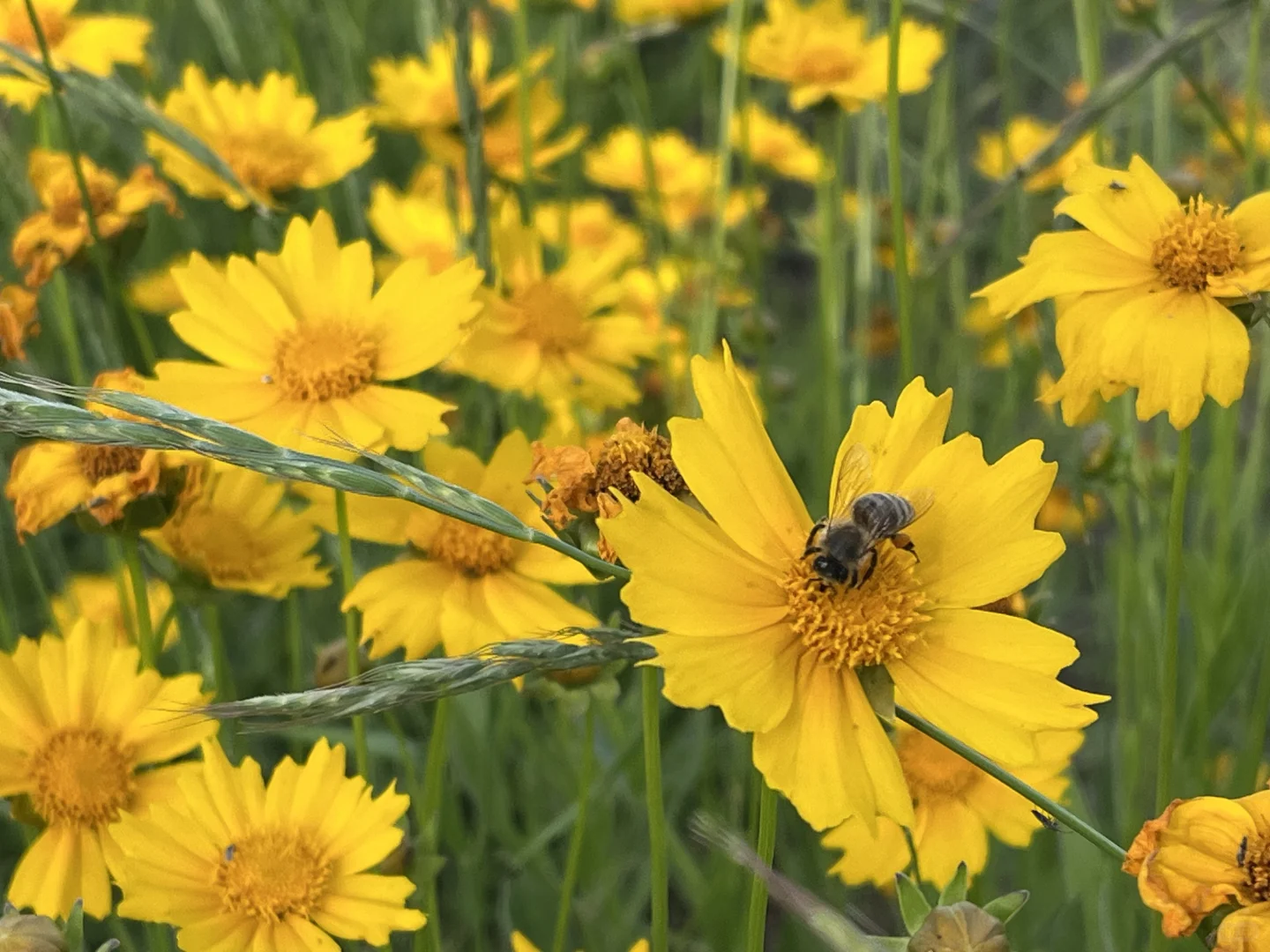 邯郸近郊宝藏景区，周末好去处。