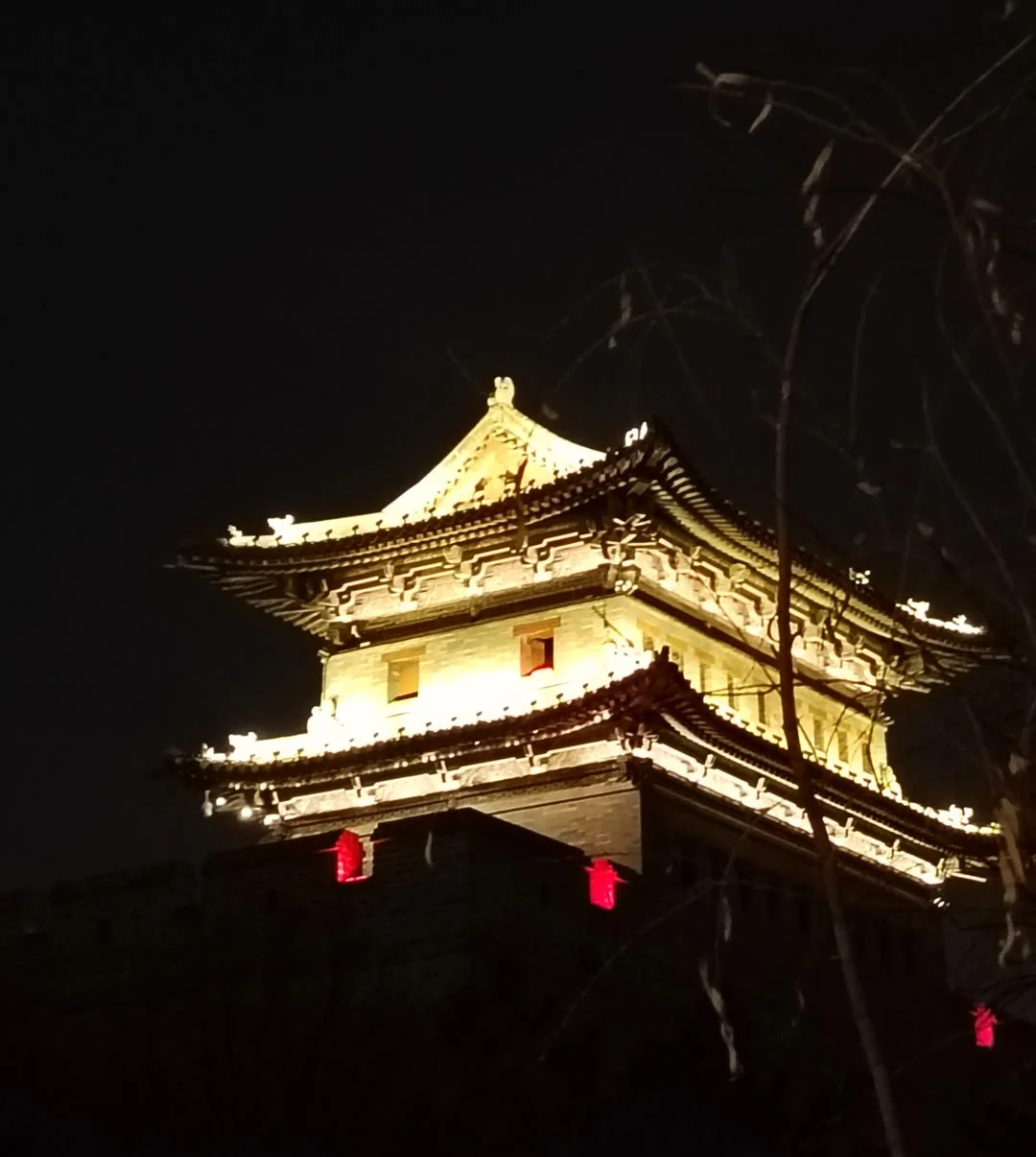 景区直达车来啦！