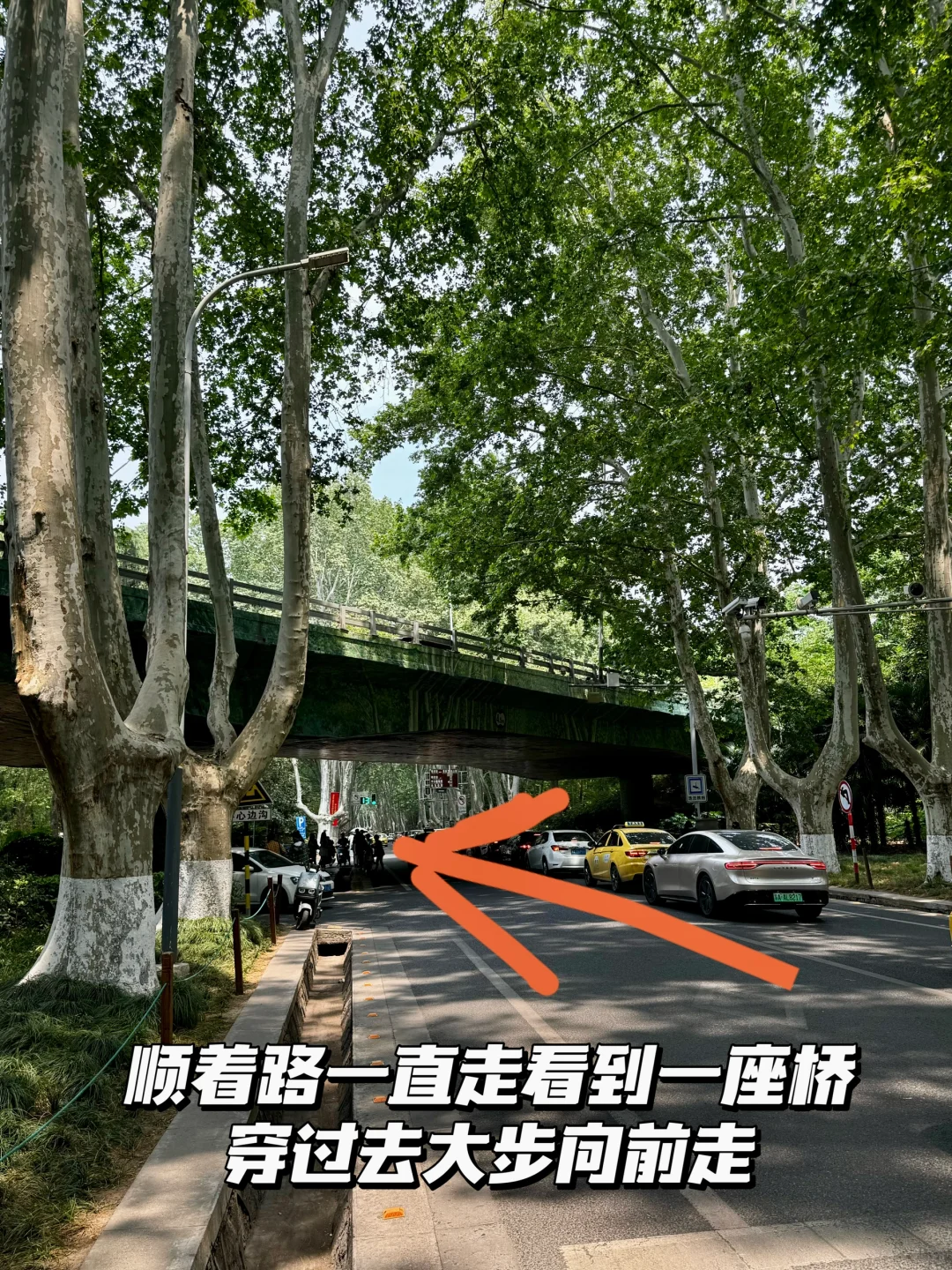 南京梧桐大道网红桥打卡路线指南（步行版）