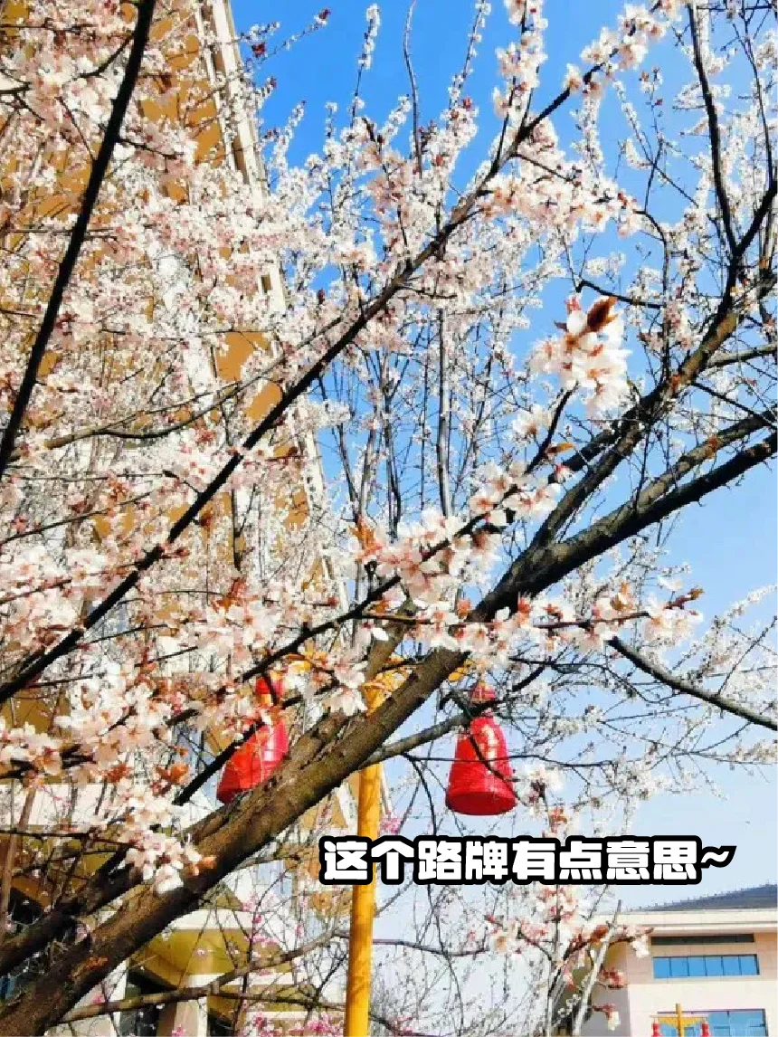 🥂缘来是你！淮安今世缘景区超好玩攻略✨