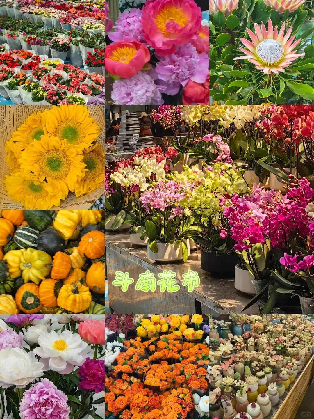 保姆级昆明旅游攻略 不起早 干货避雷分享