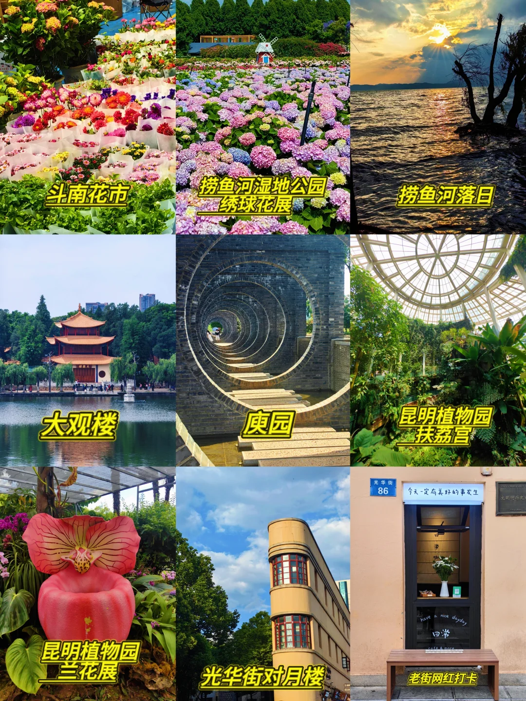 保姆级昆明旅游攻略 不起早 干货避雷分享