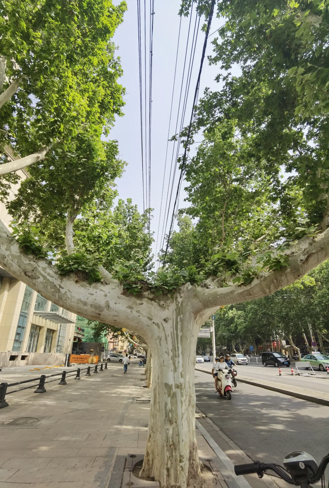 到了邯郸才懂了它的美