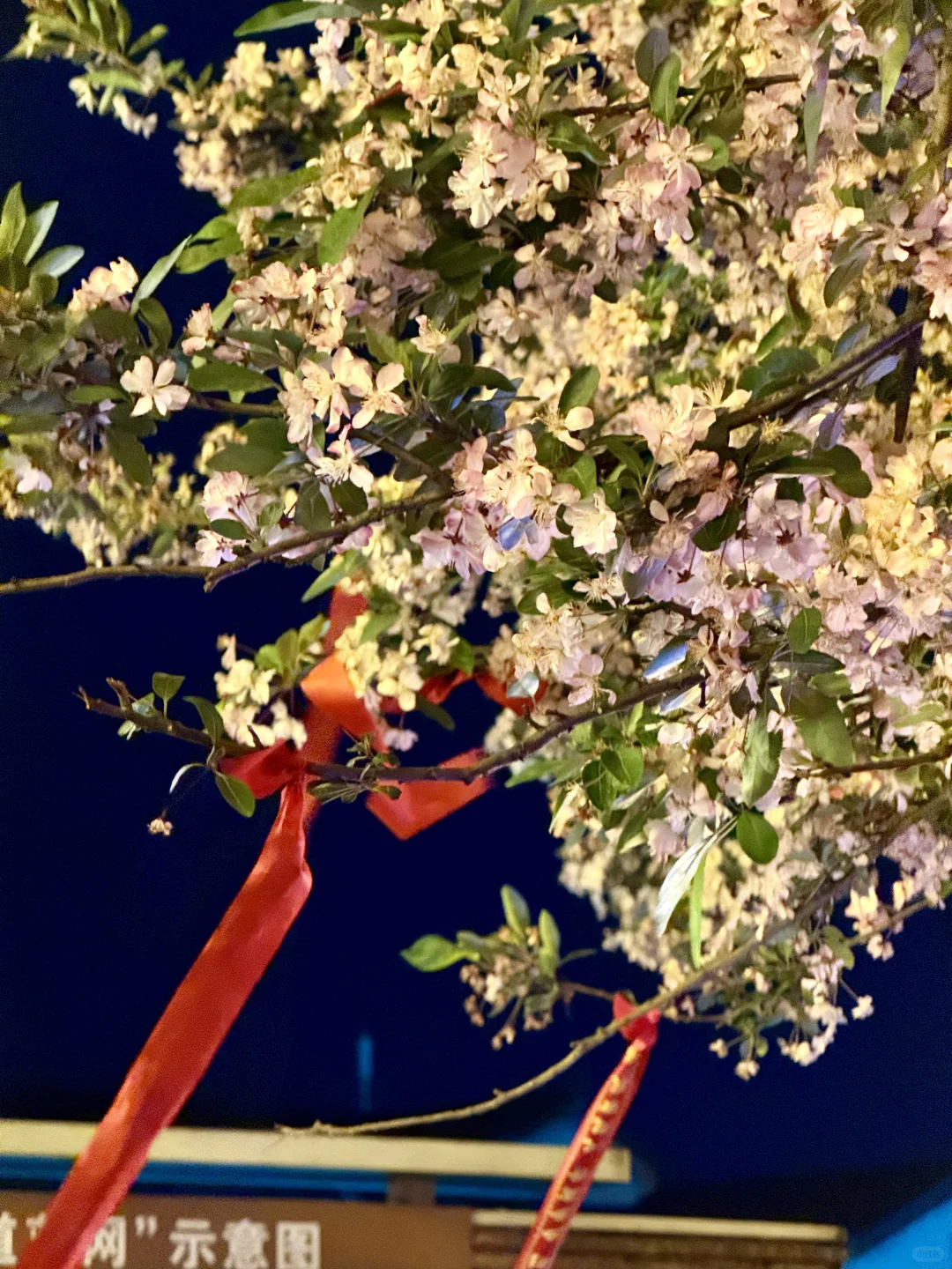 都江堰真的太绝了！！！