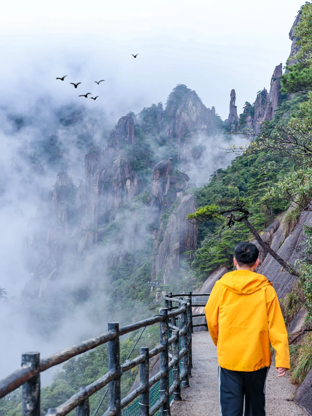 live野心友好❗️我在三清山拍到《千里江山图》