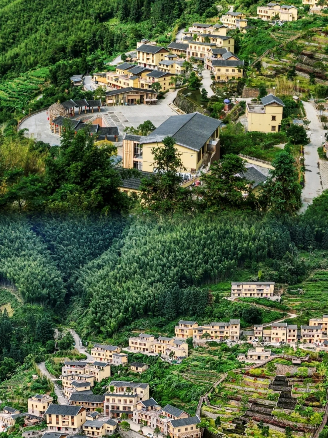 在广东发现了一个藏在竹海里的绝美世外桃源