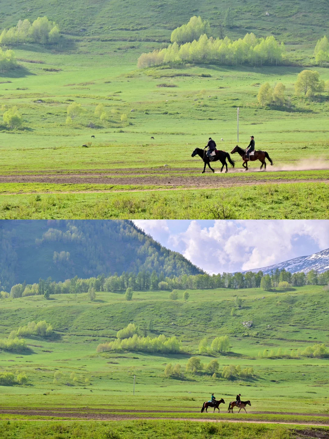 新疆北疆大环线旅游 02| 禾木村游玩攻略！