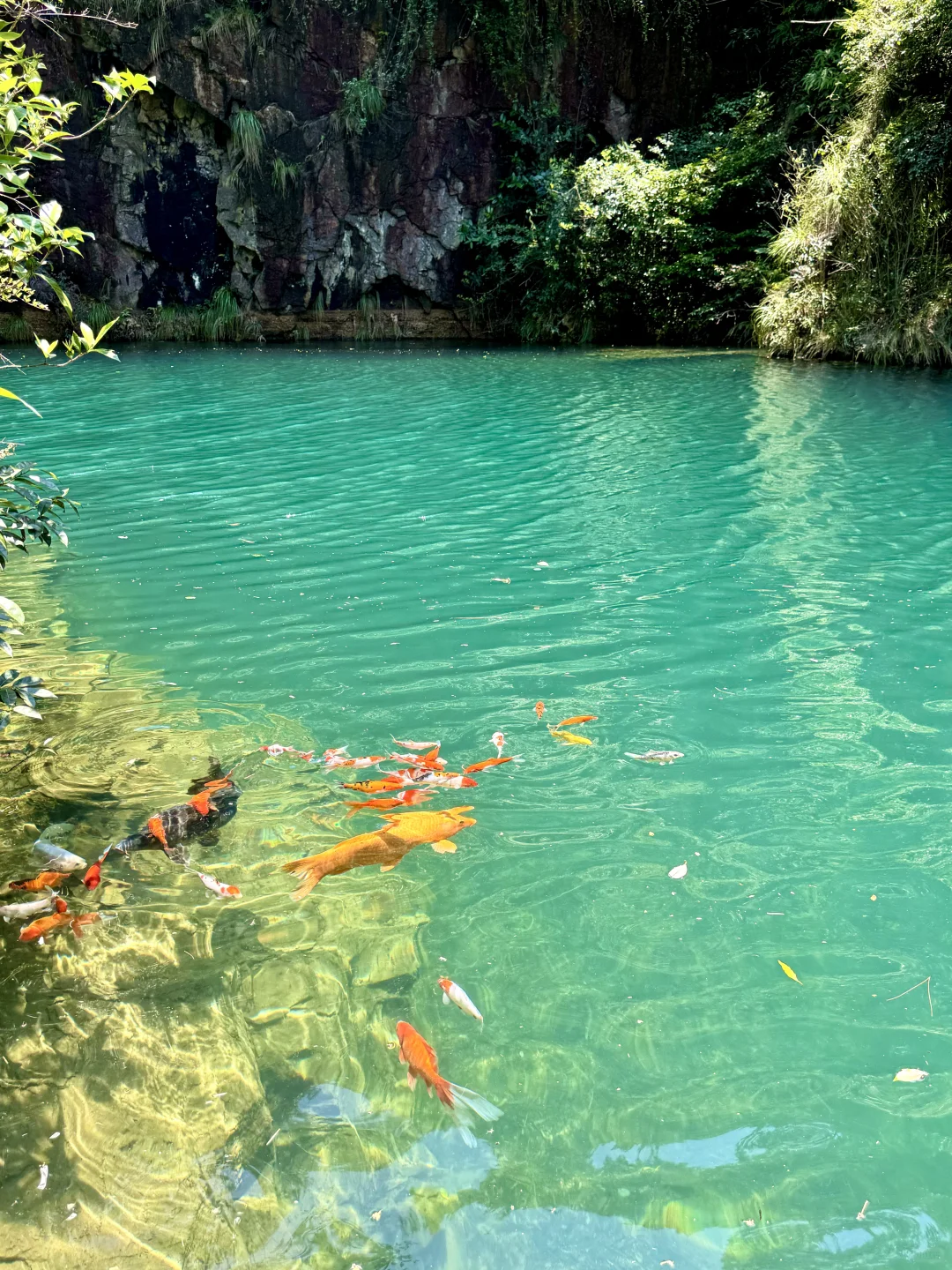不是九寨沟！这是杭州！！16 ℃避暑胜地🍃