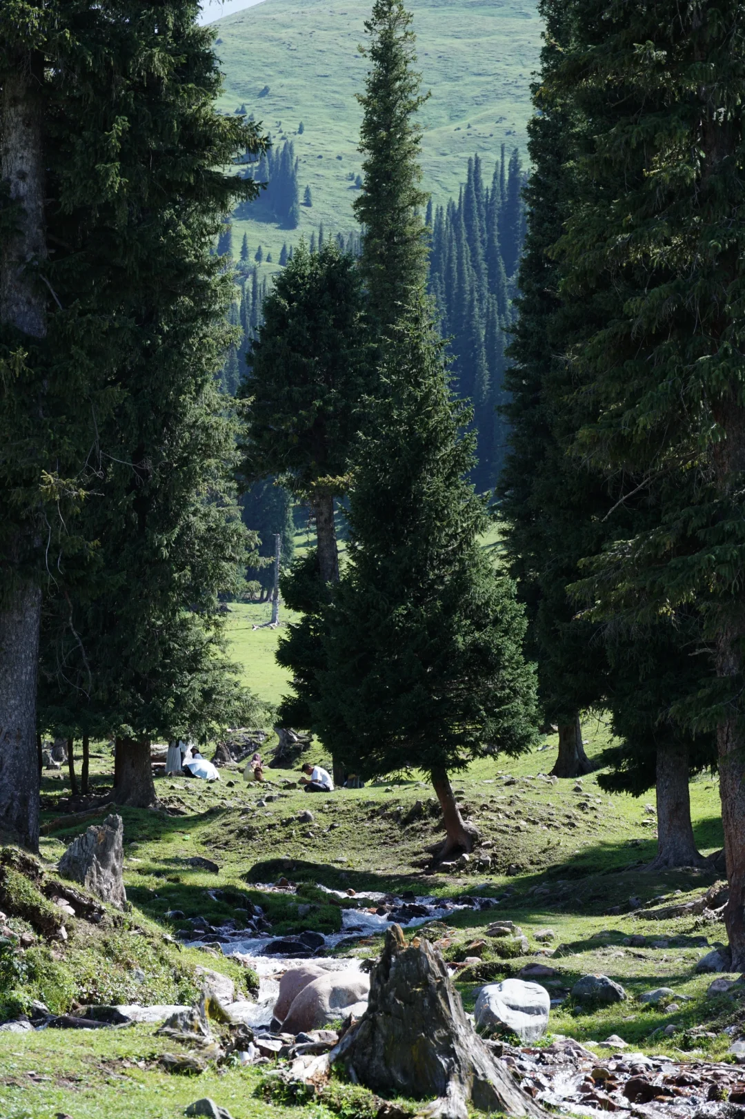 伊犁草原真没必要去太多
