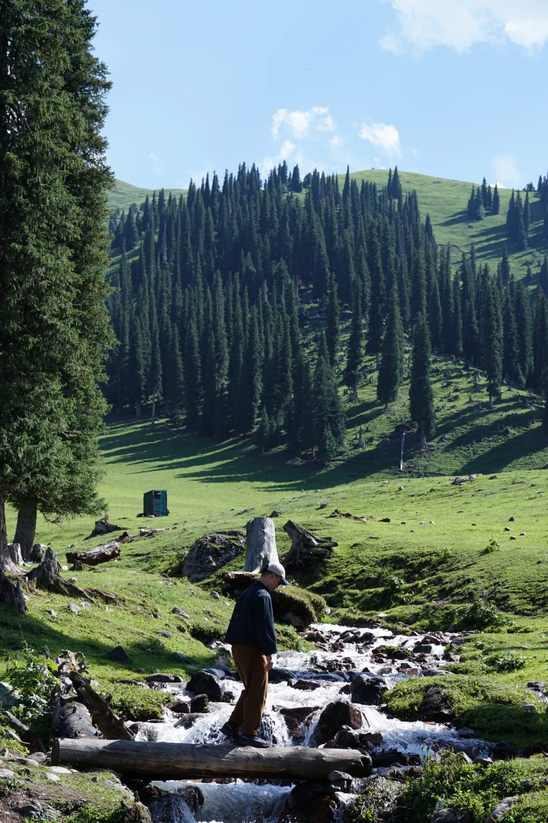 伊犁草原真没必要去太多