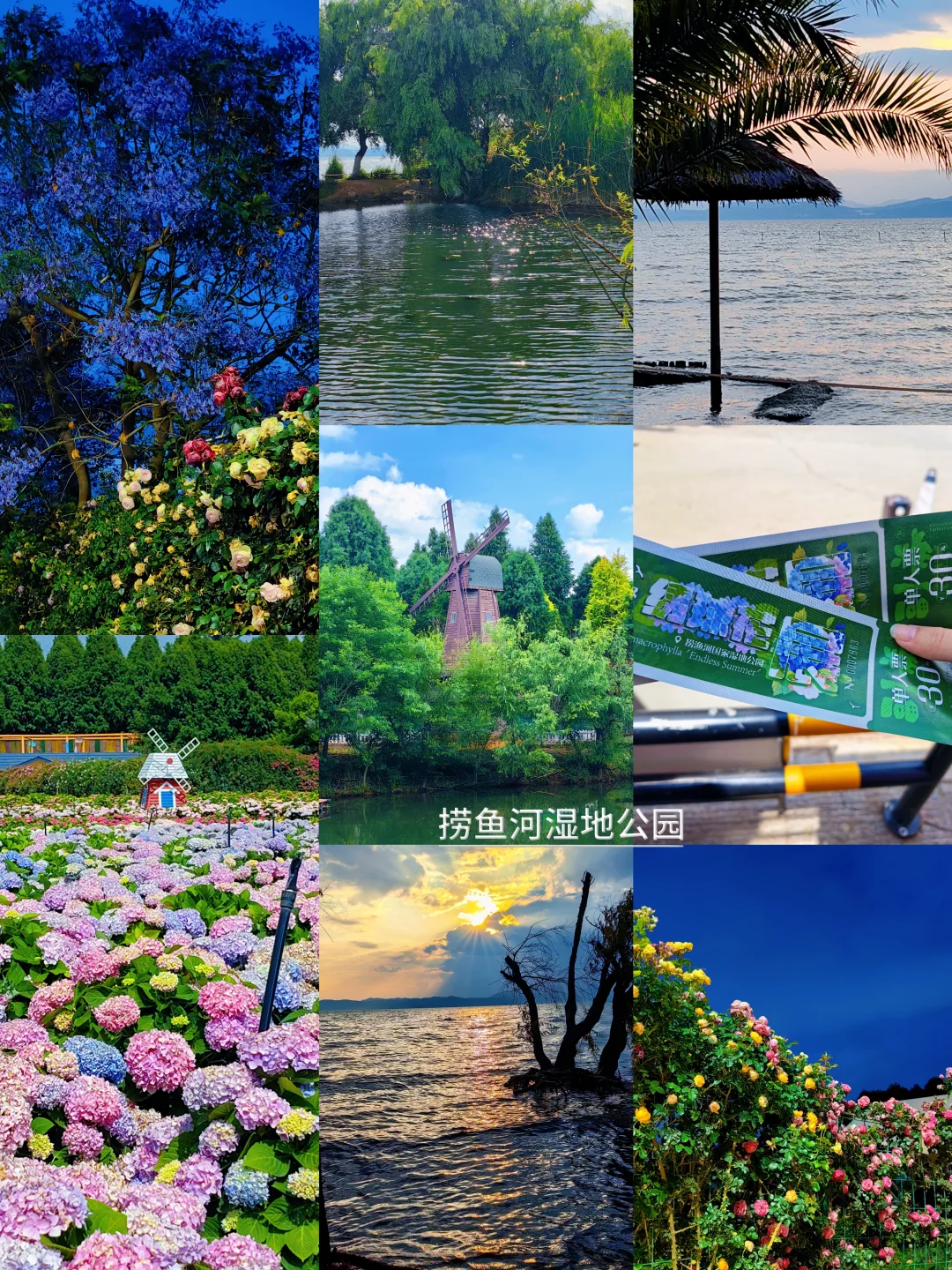 保姆级昆明旅游攻略 不起早 干货避雷分享