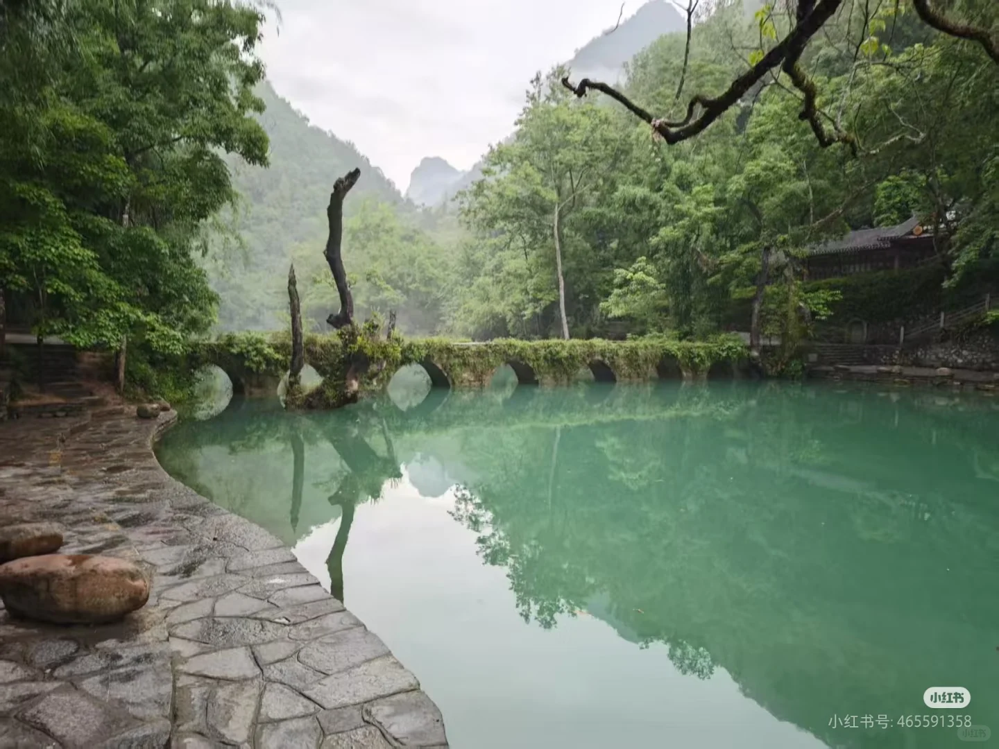 荔波小七孔景区今日实况