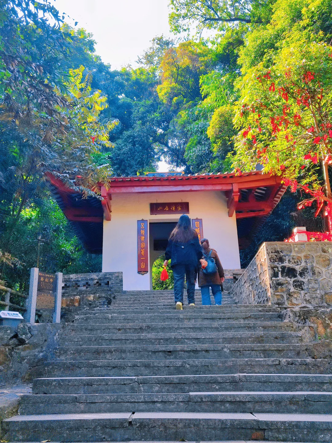 肇庆鼎湖山真的美到我心巴上了（省钱攻略！）