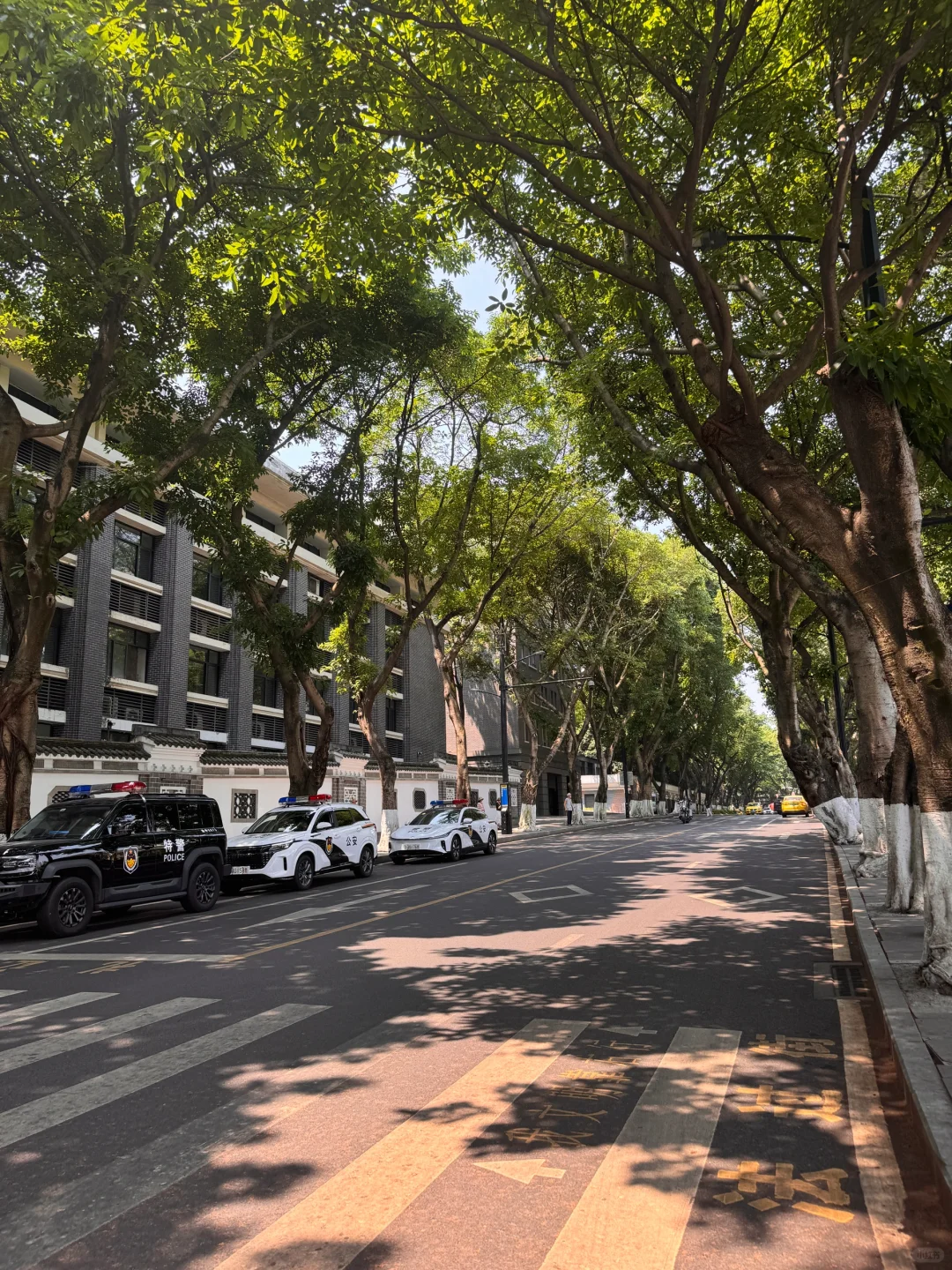 重庆旅游避雷❌or种草🌱（附避雷攻略）