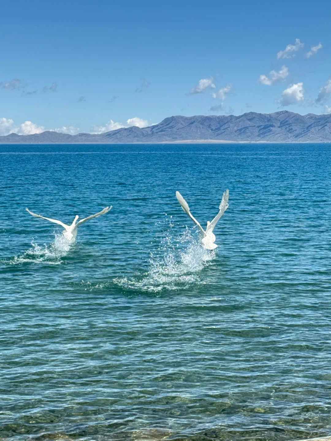 5.4📍赛里木湖现状，美到犯规，劝退不了一点…