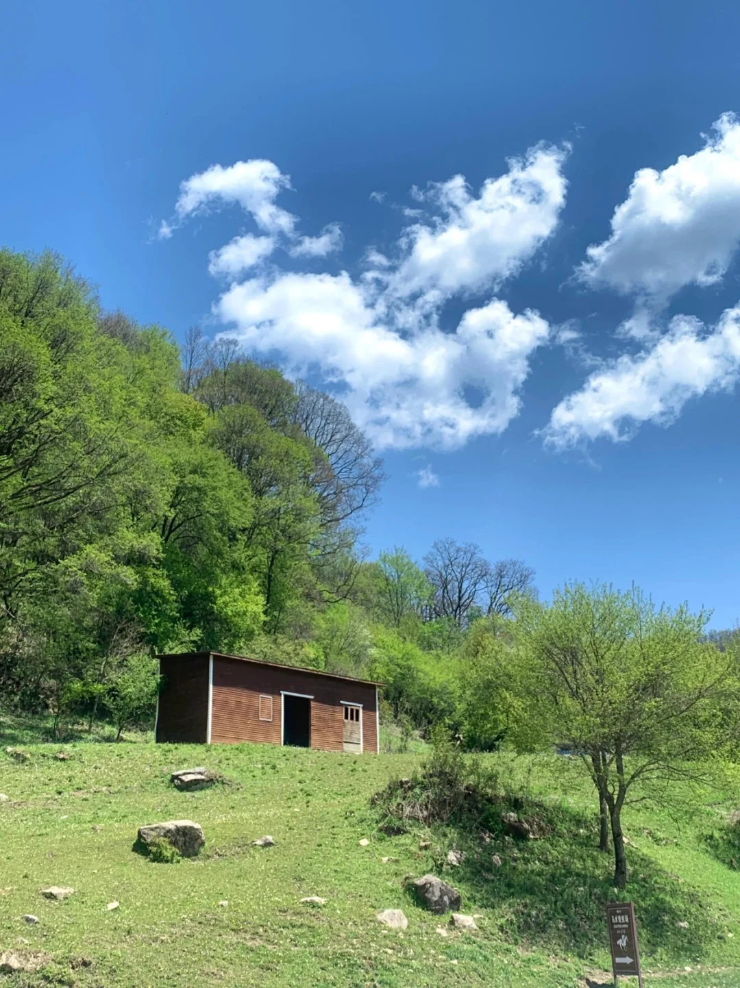 大水川一日游｜西安出发！牧场×高山草甸！