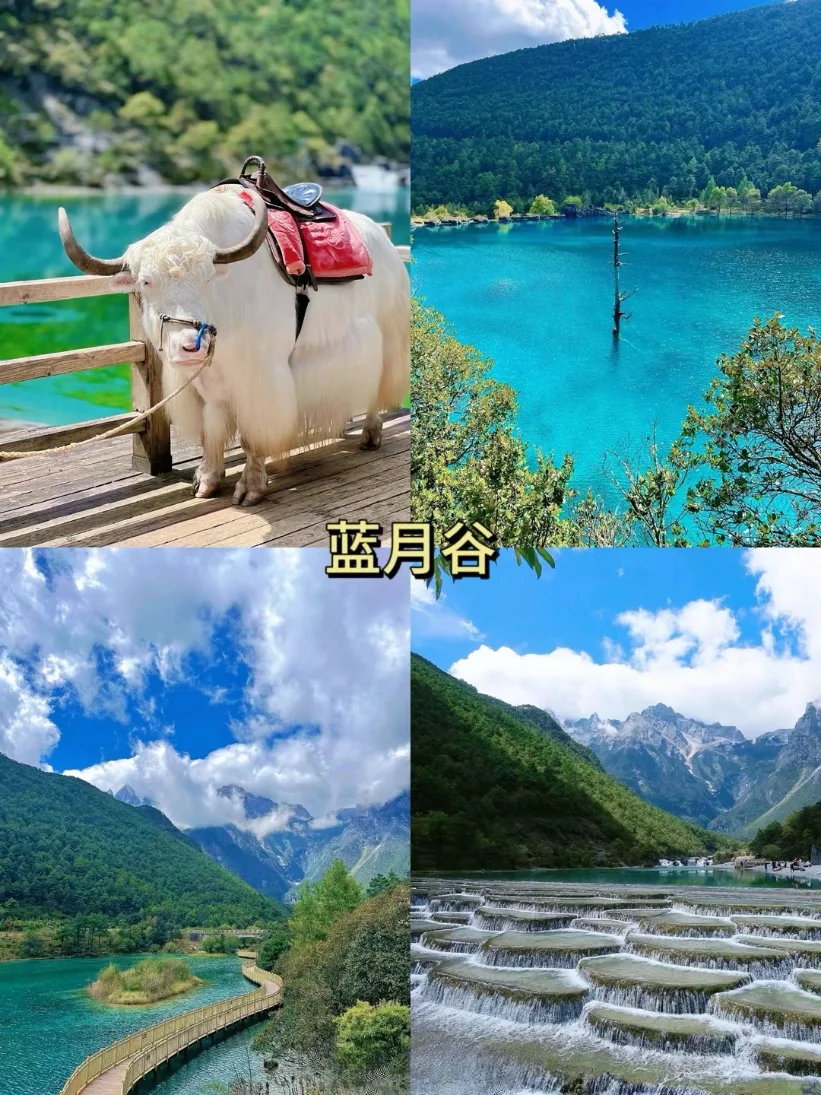 🌴云南旅游攻略✨让你玩得尽兴又省钱💰