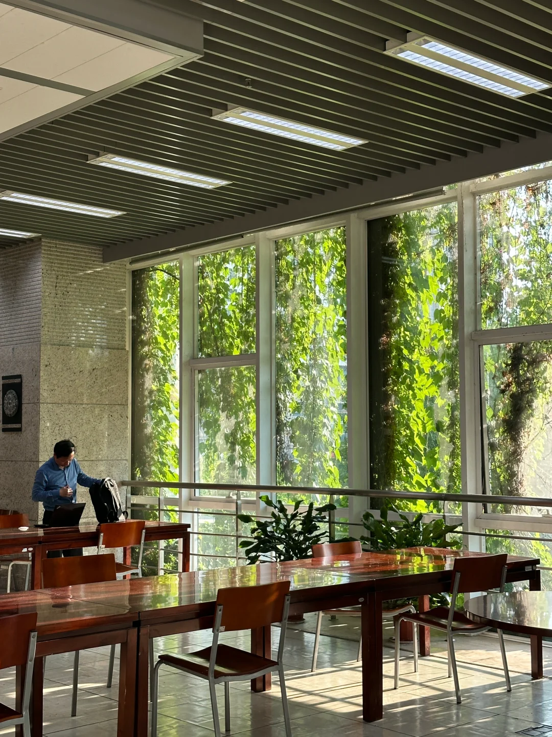 南京最好的地方都是免费的😂。。。