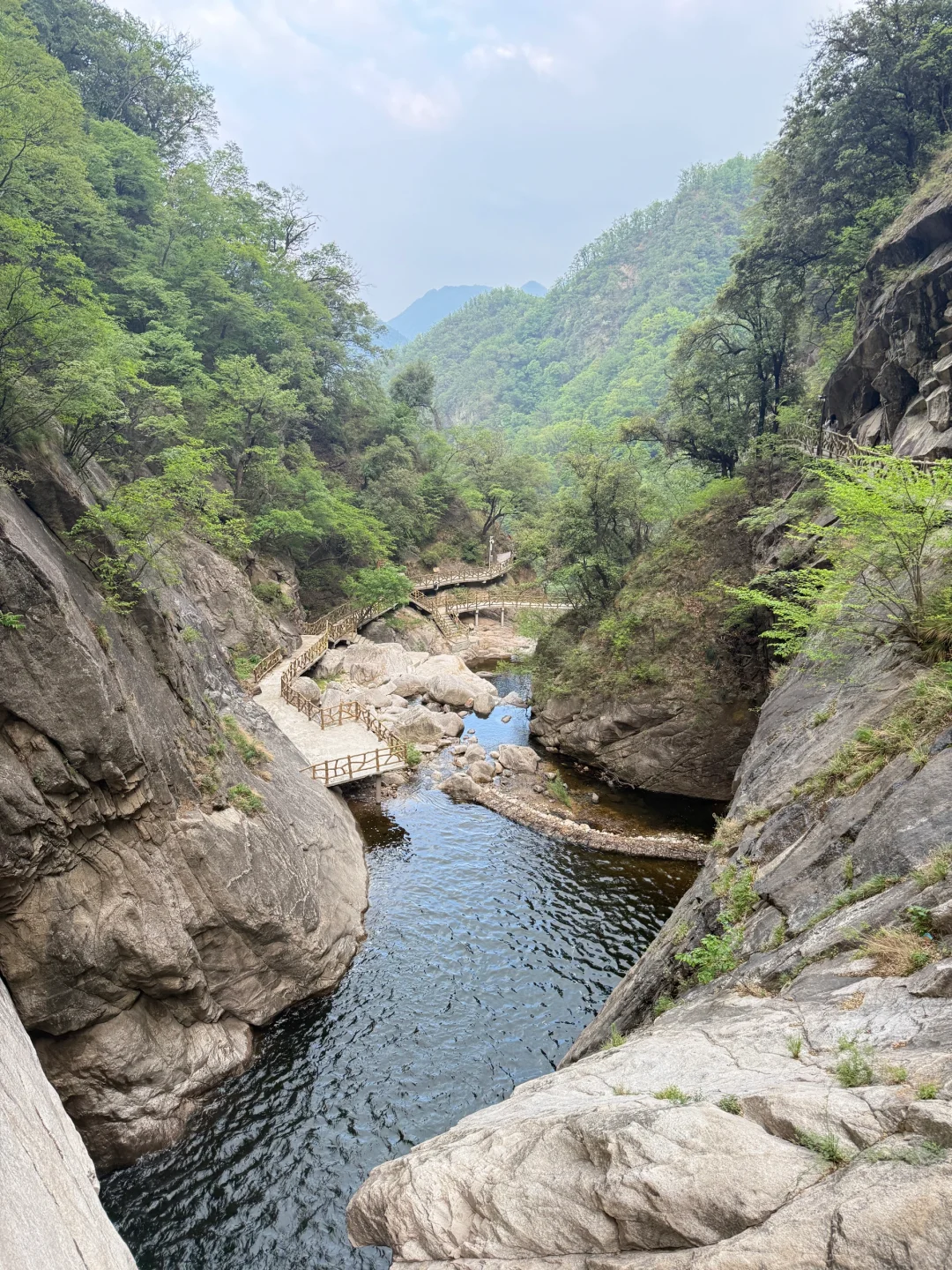 没去百丈漈，在河南洛阳