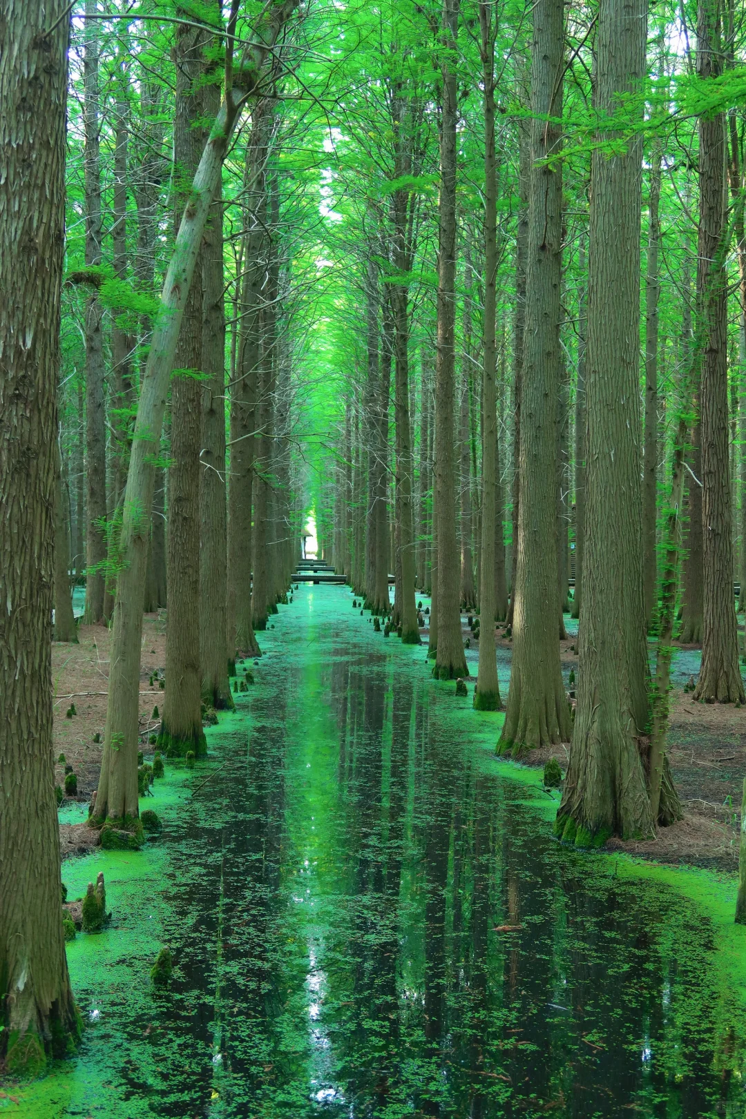 五一假期 | 淮安必打卡景点