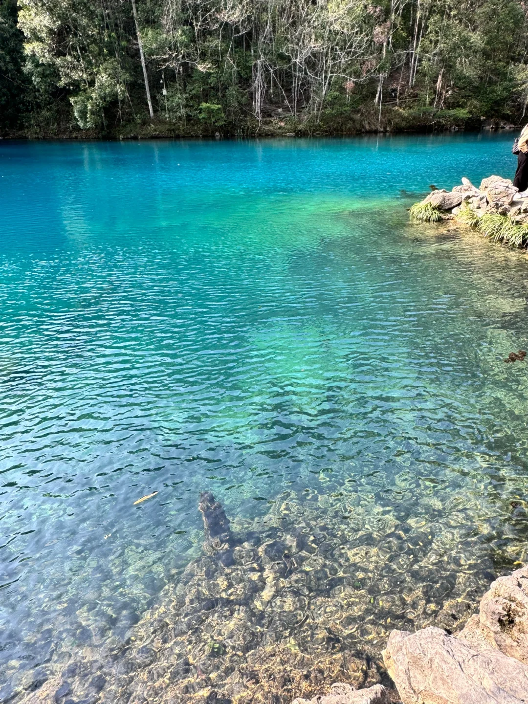 荔波小七孔｜晴天的卧龙潭真的赛九寨沟