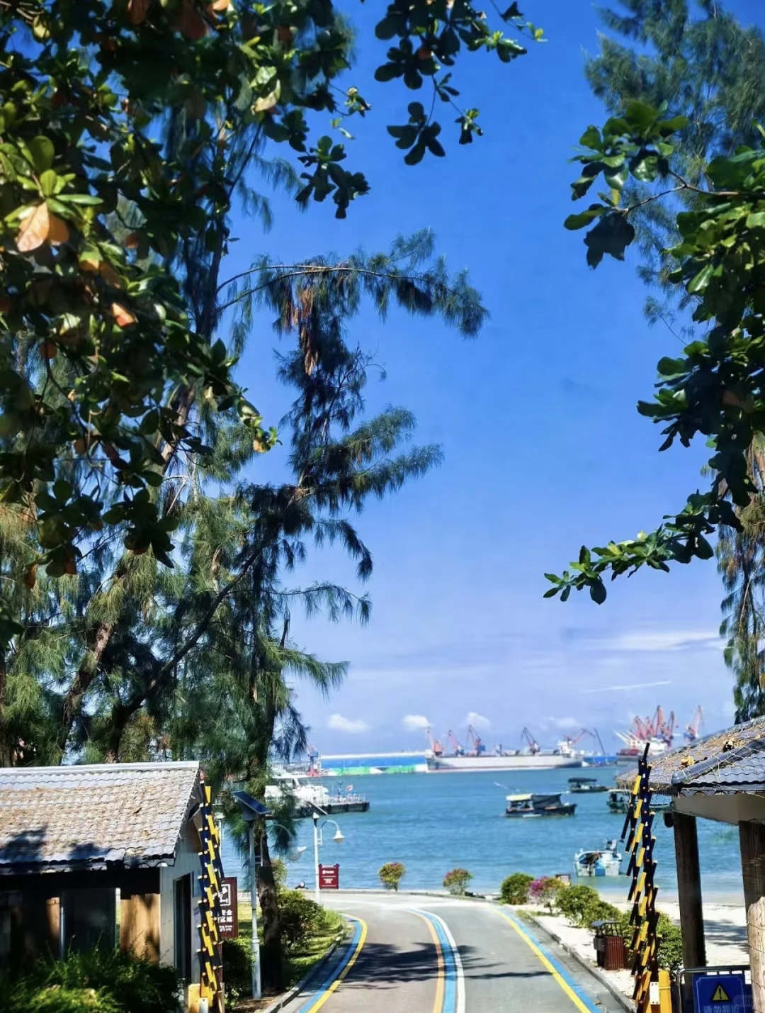 湛江古镇，不虚此行🍁