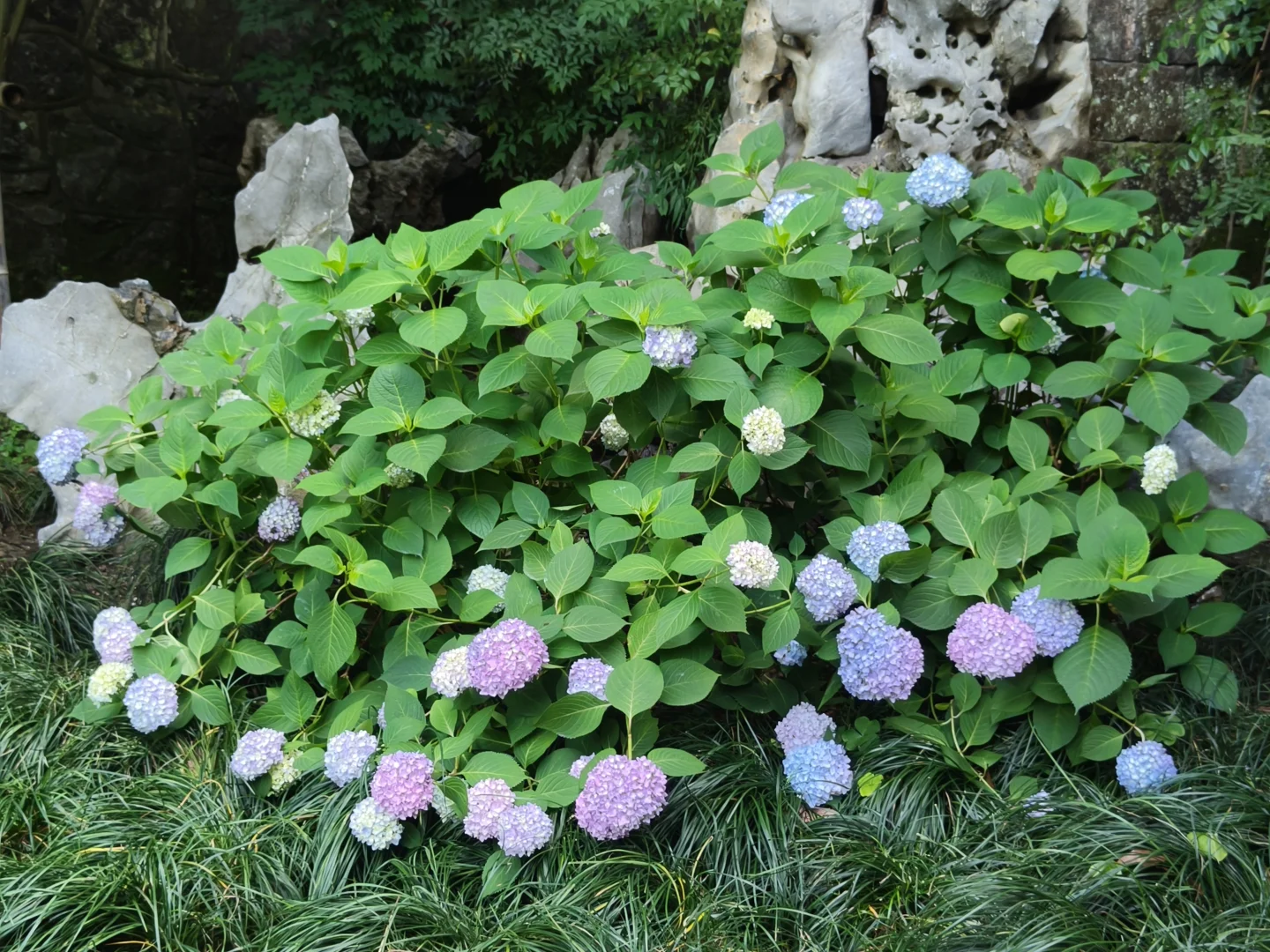 CP难民的藏剑技能打卡之旅(上)