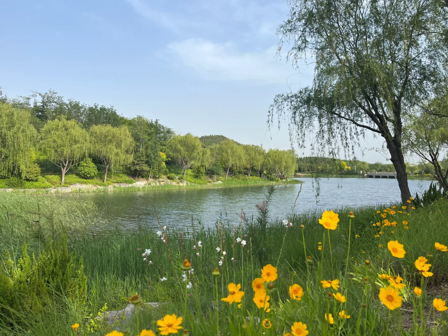 邯郸近郊宝藏景区，周末好去处。