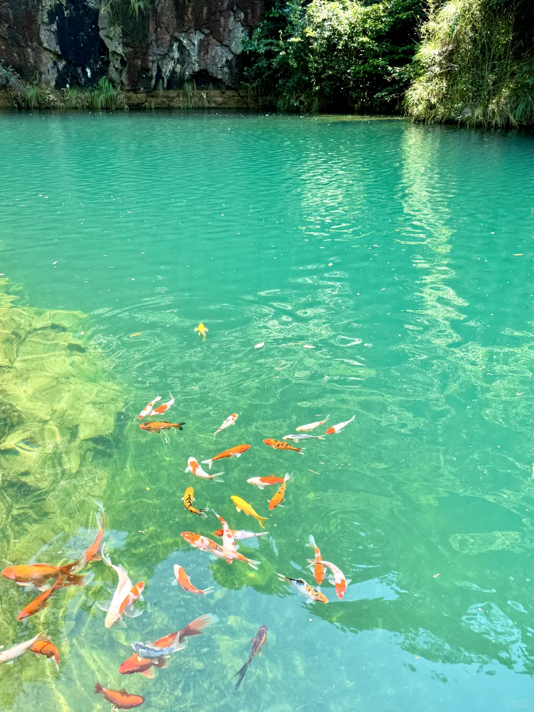 不是九寨沟！这是杭州！！16 ℃避暑胜地🍃