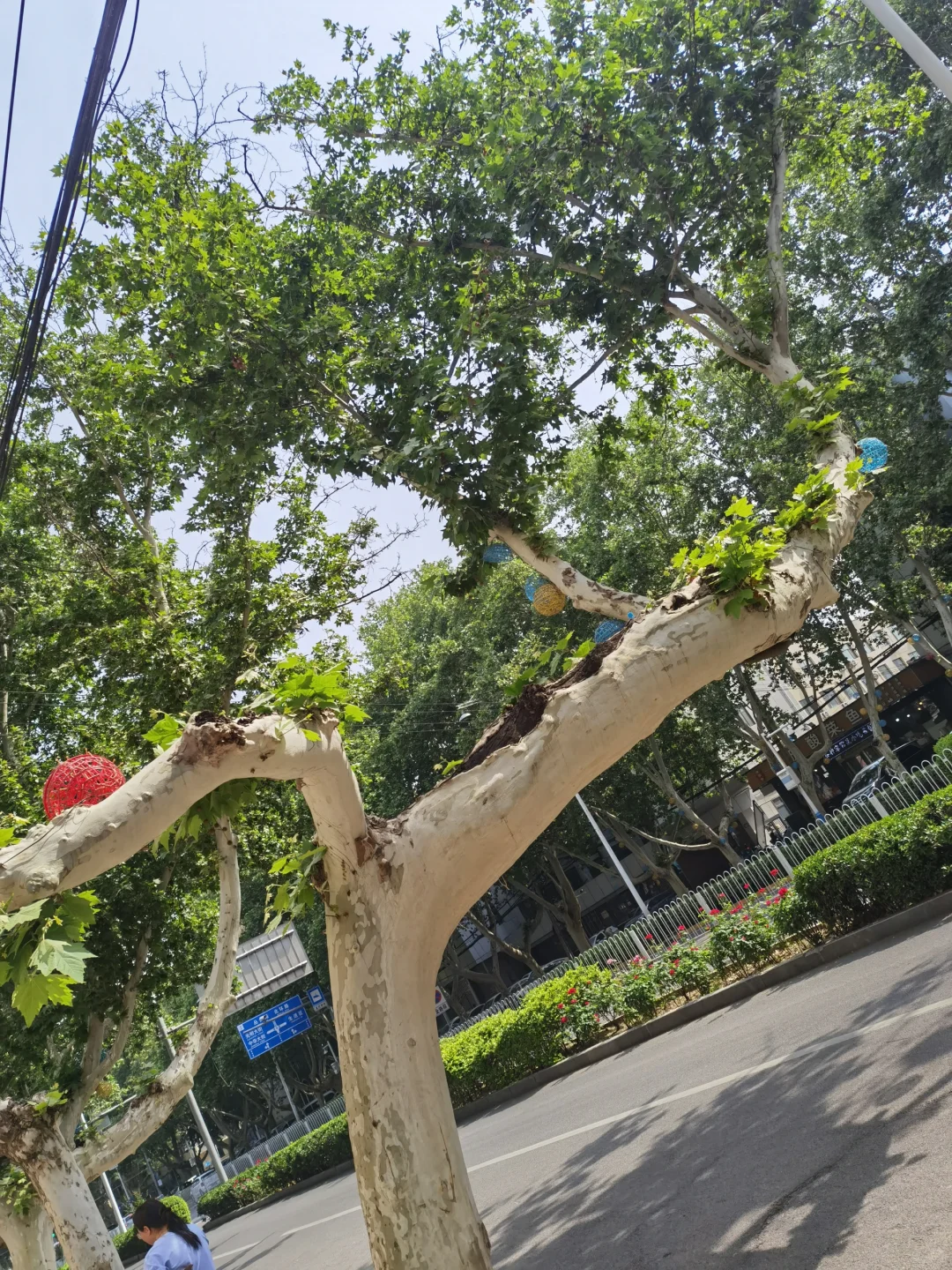 到了邯郸才懂了它的美