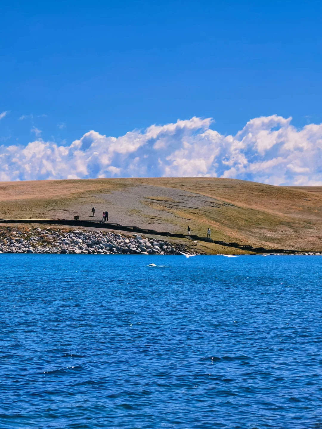 5.4📍赛里木湖现状，美到犯规，劝退不了一点…