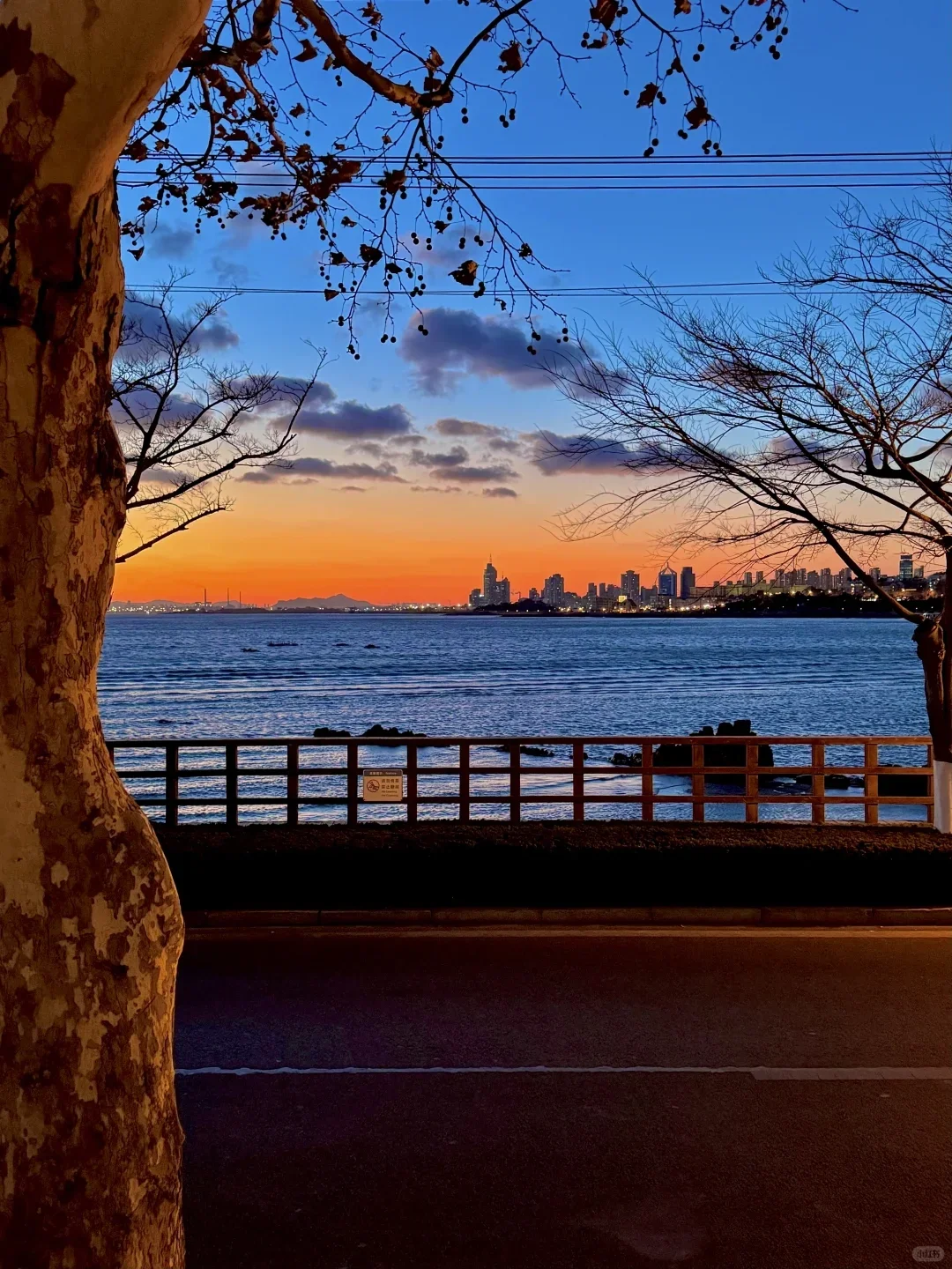 5.6|青岛回来了,能帮一个是一个.....